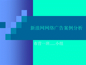 新浪网网络广告案例分析.ppt