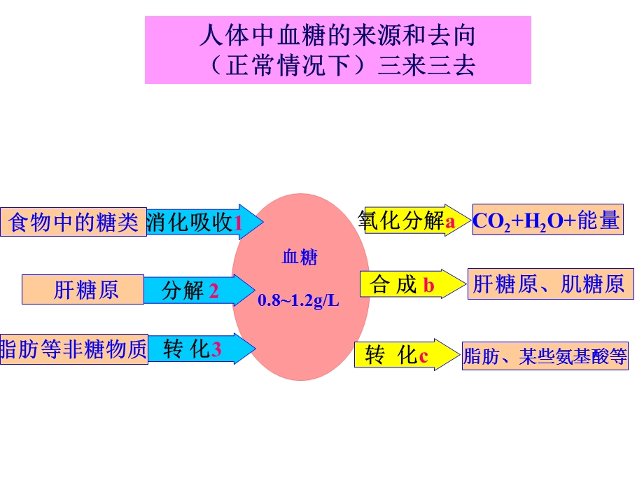 通过激素调节(授课).ppt_第3页