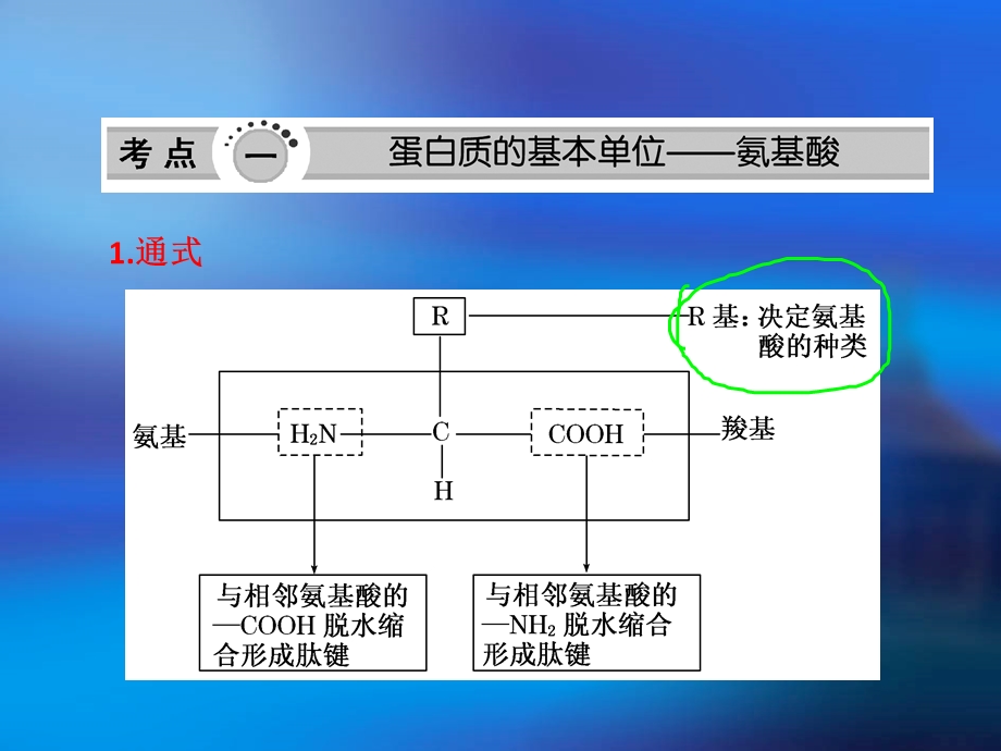 生命的主要承担者蛋白质.ppt_第2页