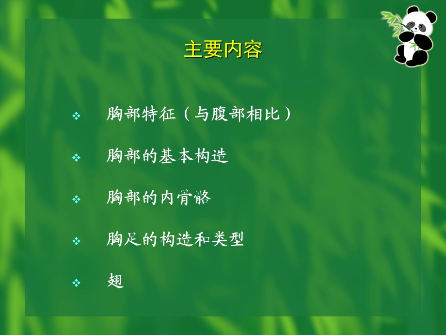 昆虫的胸部全解.ppt_第2页