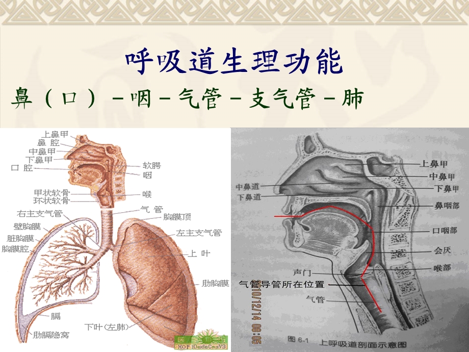 气管切开的护理PPT课件.ppt_第3页