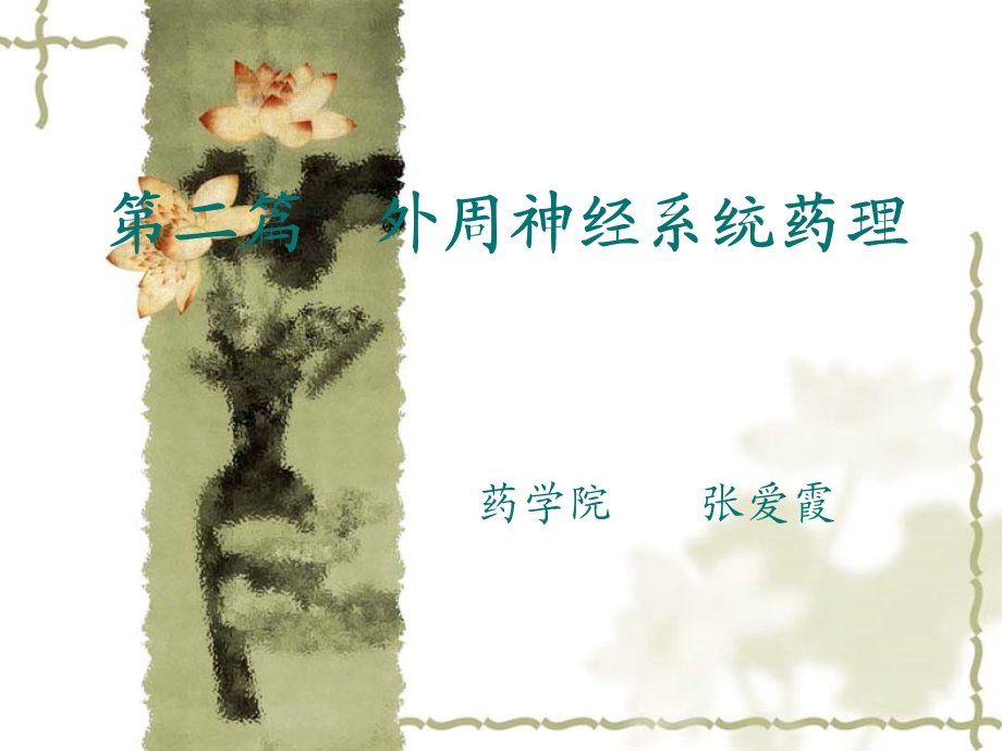 外周神经系统药.ppt_第1页