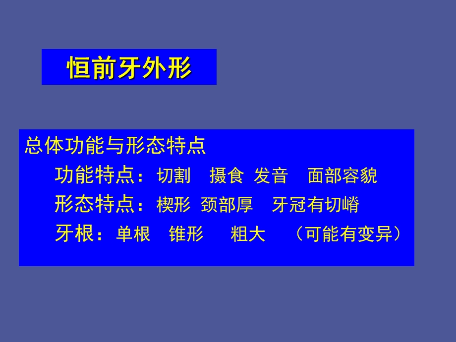 口腔解剖学上颌切牙.ppt_第2页