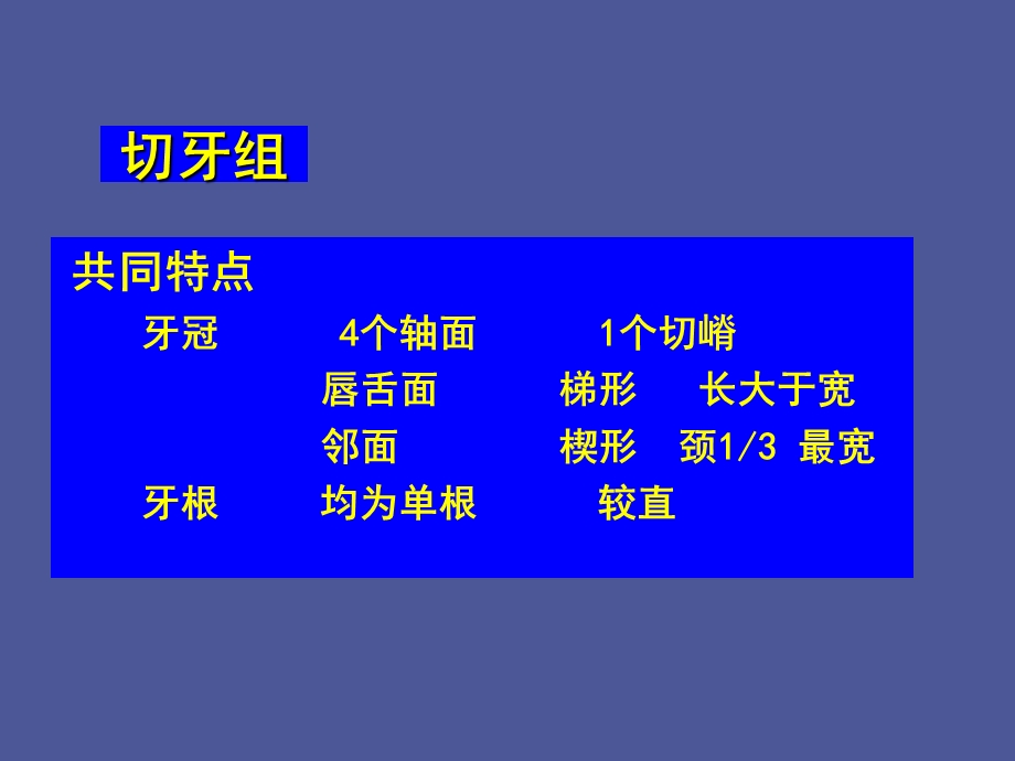 口腔解剖学上颌切牙.ppt_第3页