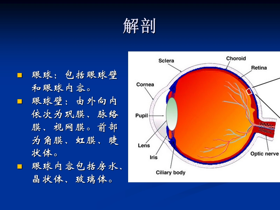 视网膜母细胞瘤影像学表现.ppt_第2页