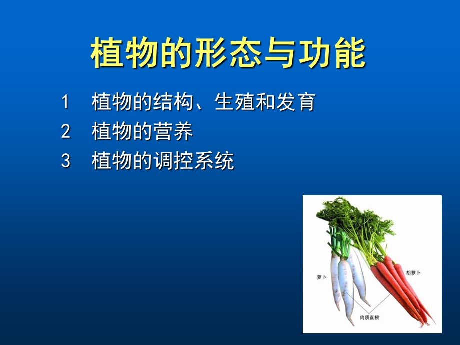 植物的形态与功能.ppt_第1页