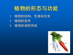 植物的形态与功能.ppt