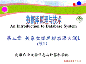 数据库原理与技术安徽农业大学信息与计算机学院ppt课件.ppt