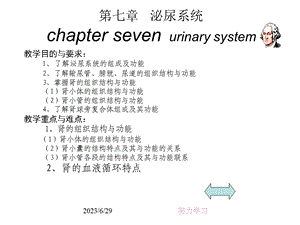 泌尿系统(urinarysystem).ppt