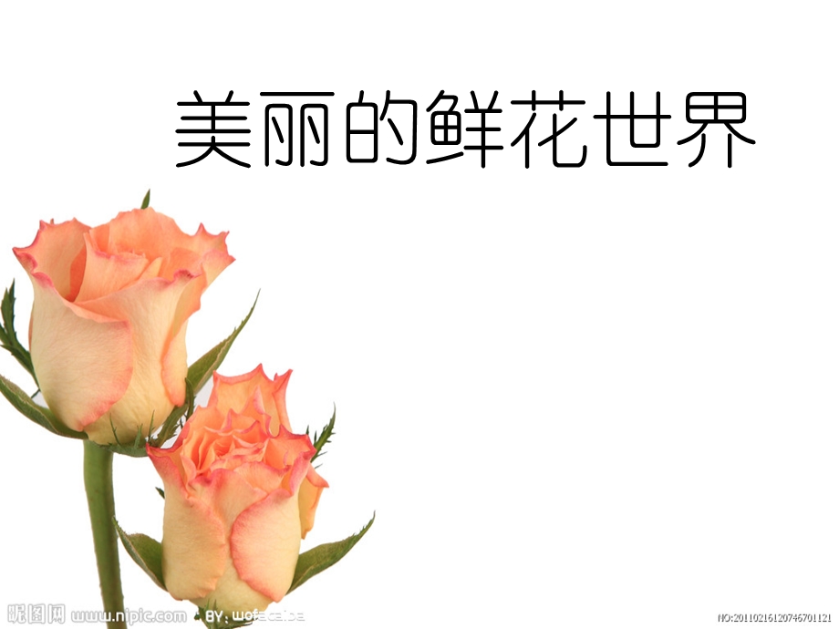 小学美术儿童画课件-美丽的鲜花.ppt_第1页