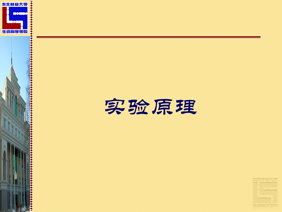 3zhou目的蛋白质表达、纯化、检测.ppt_第3页