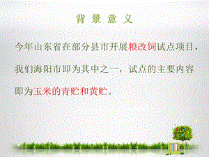 玉米青贮与黄贮.ppt