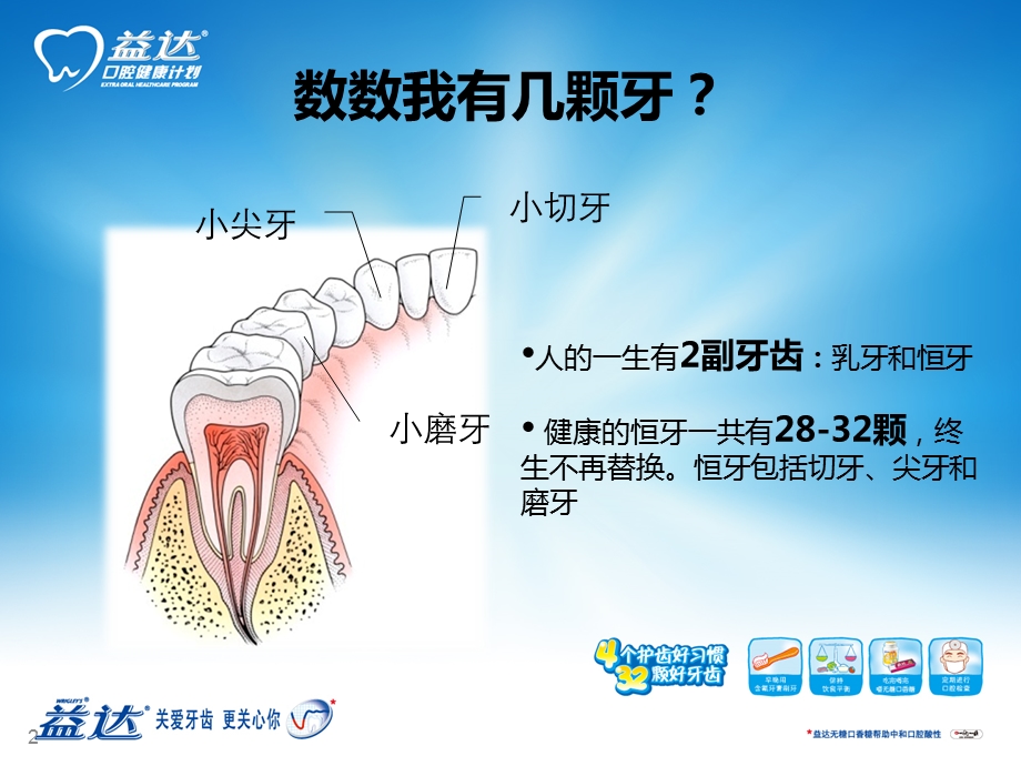 口腔健康教育课件(供教师上课使用).ppt_第2页