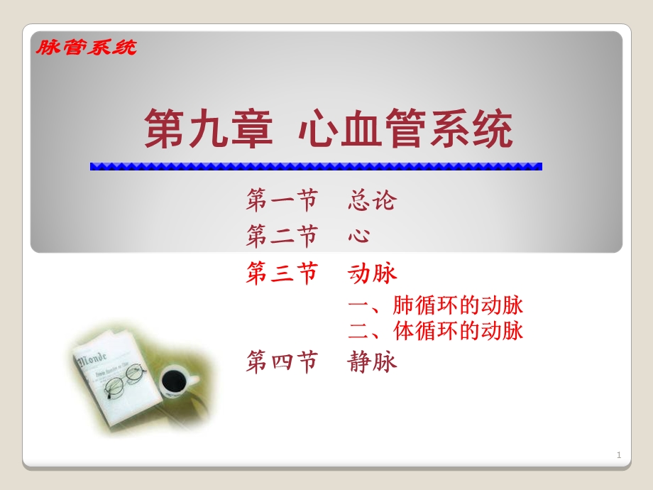 心血管系统动脉.ppt_第1页