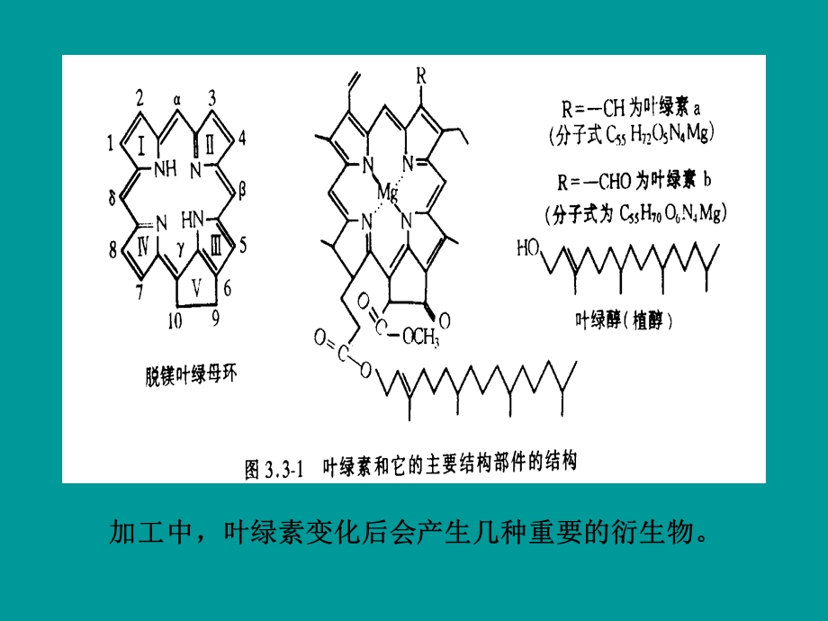 四吡咯色素.ppt_第2页