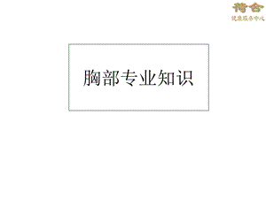 胸部专业知识培训.ppt