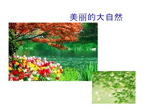 生物细菌真菌分布.ppt