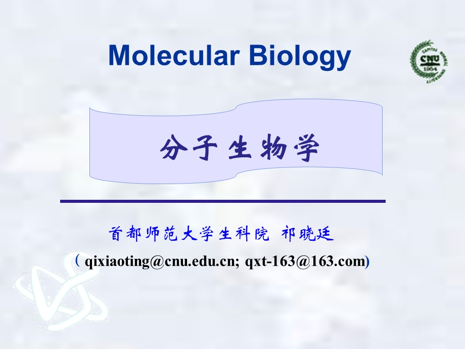 生物奥赛分子生物学.ppt_第1页