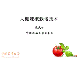 辣椒大棚栽培技术.ppt