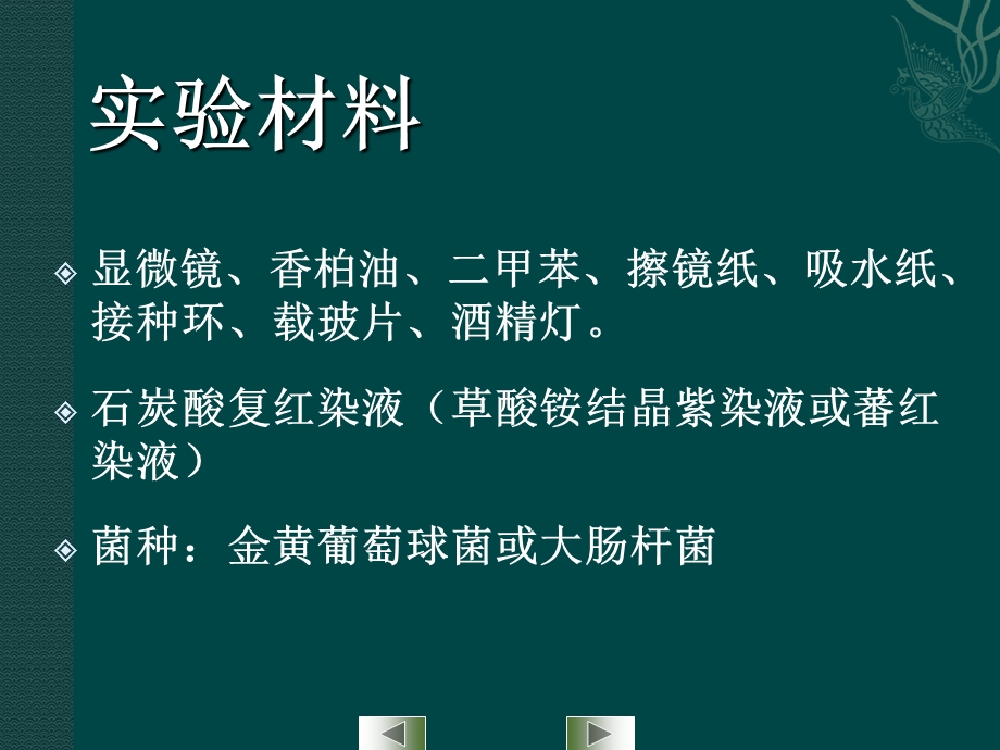 细菌大小的测定.ppt_第3页