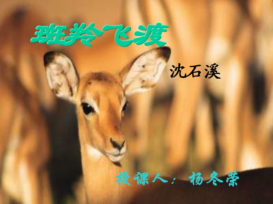 授课人杨冬荣.ppt_第1页