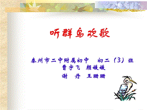 听群鸟欢歌.ppt