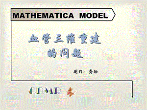 血管的三维重建.ppt