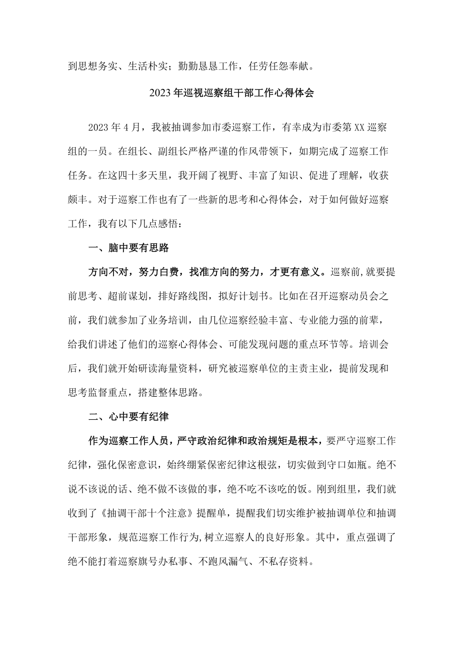 2023年央企纪检巡察组巡检工作个人心得体会 汇编6份.docx_第2页