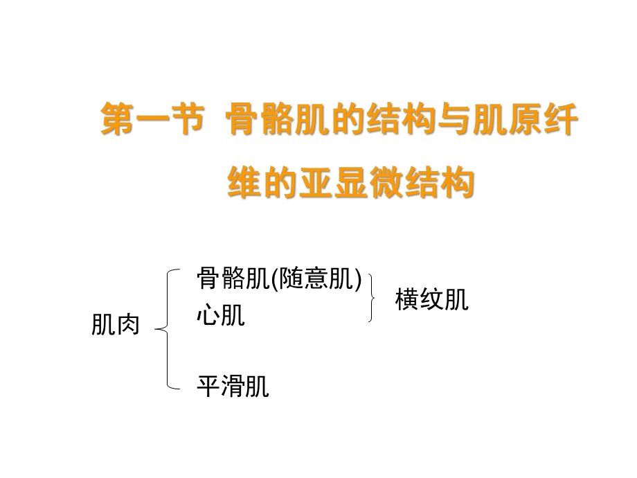 四章节肌肉兴奋与收缩.ppt_第2页