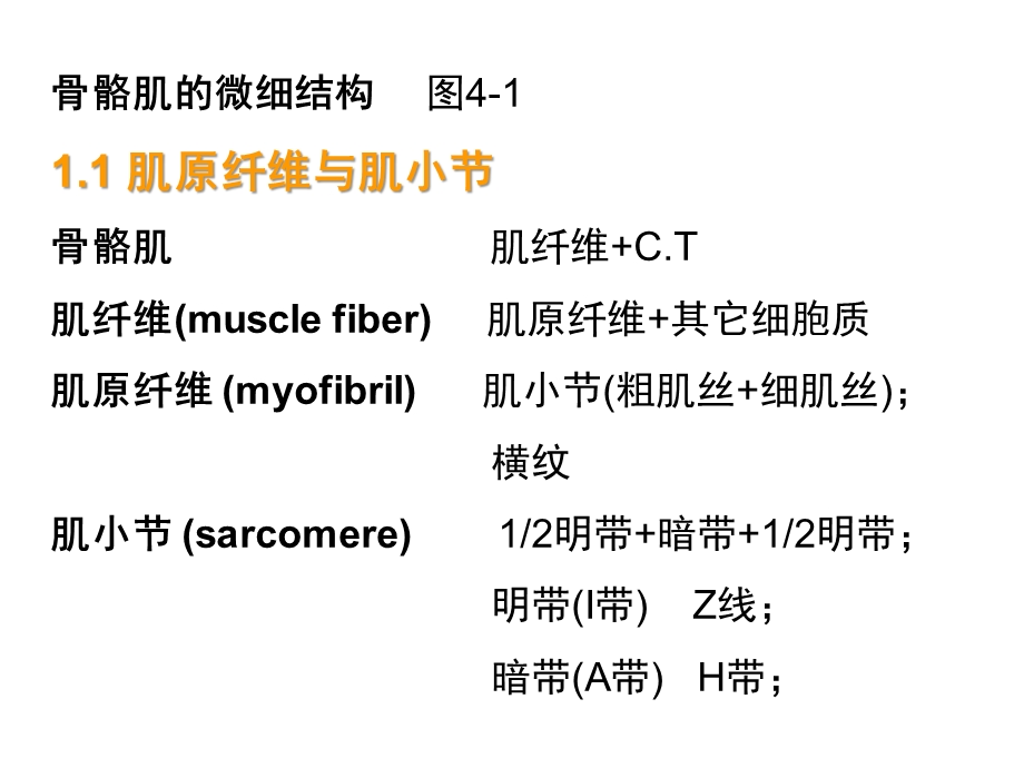 四章节肌肉兴奋与收缩.ppt_第3页