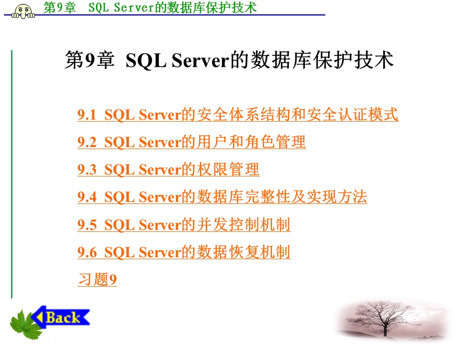 数据库技术及应用第9章sqlserver的数据库保护技术.ppt_第1页