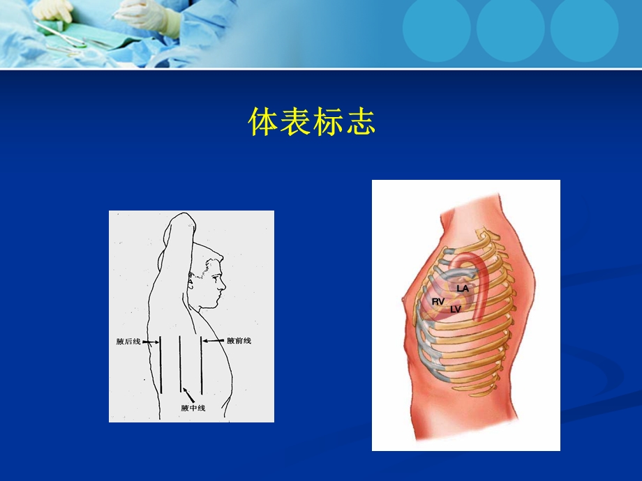 心内科体格检查.ppt_第2页