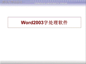 文字处理软件Word2003字处理软件.PPT