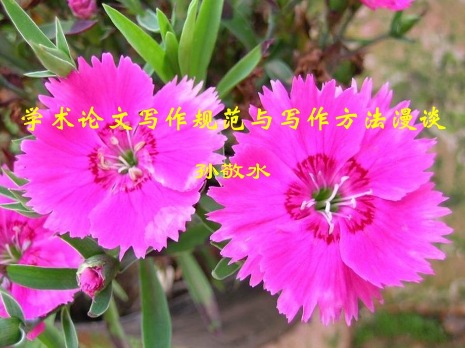 学术论文写作规范漫谈.ppt_第1页