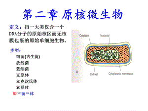 微生物学(周德庆)原核生物.ppt