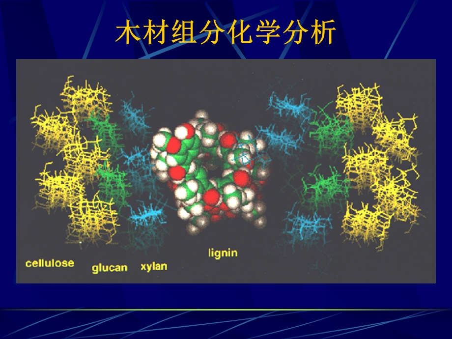 植物纤维素化学.ppt_第3页