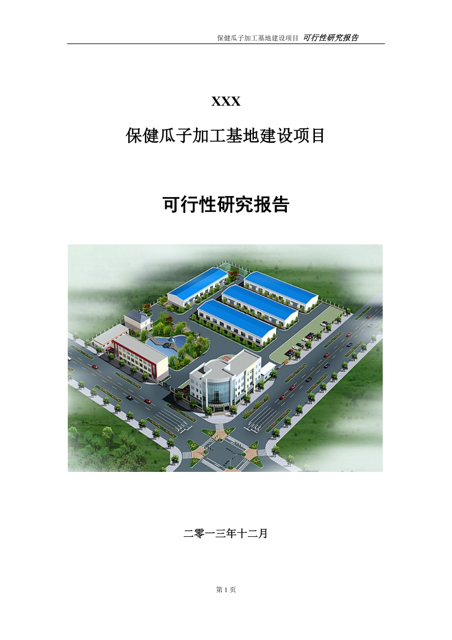 保健瓜子加工基地建设项目可行研究报告.doc_第1页