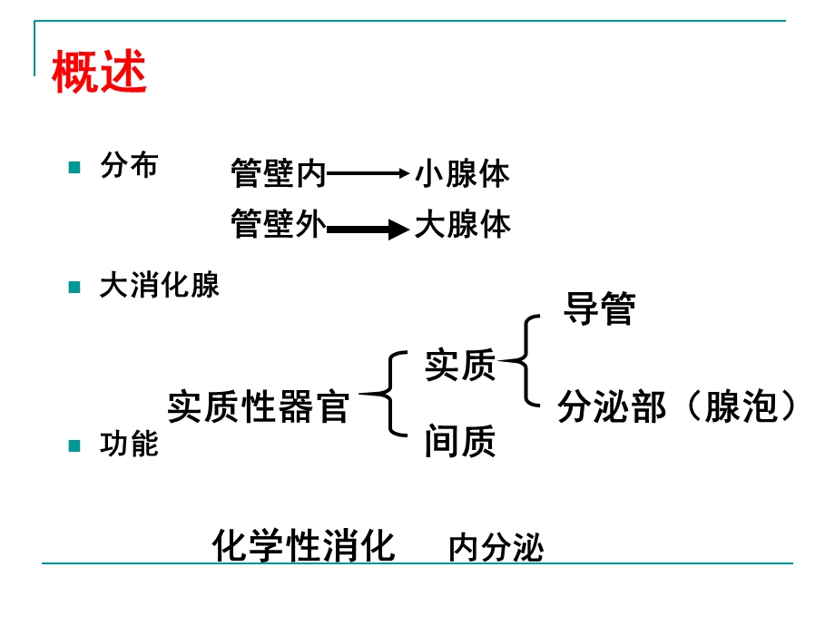 消化系统消化腺.ppt_第2页