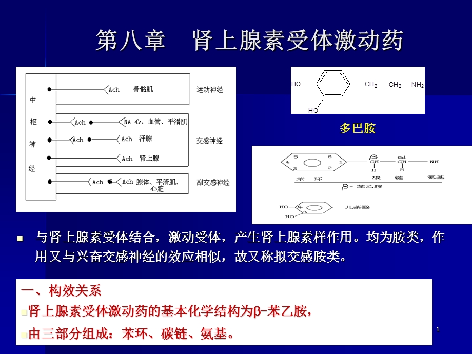 肾上腺素受体药.ppt_第1页