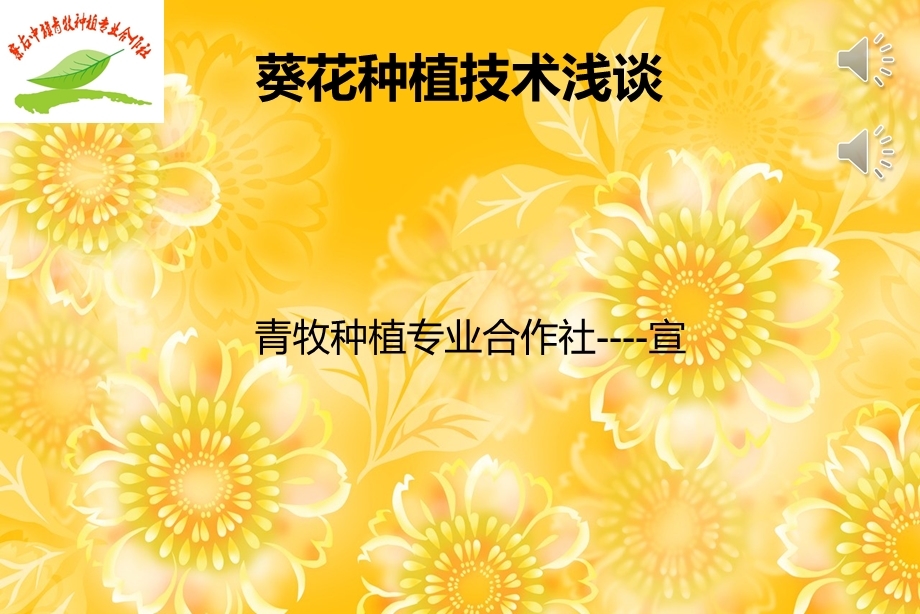 葵花种植技术培训.ppt_第1页