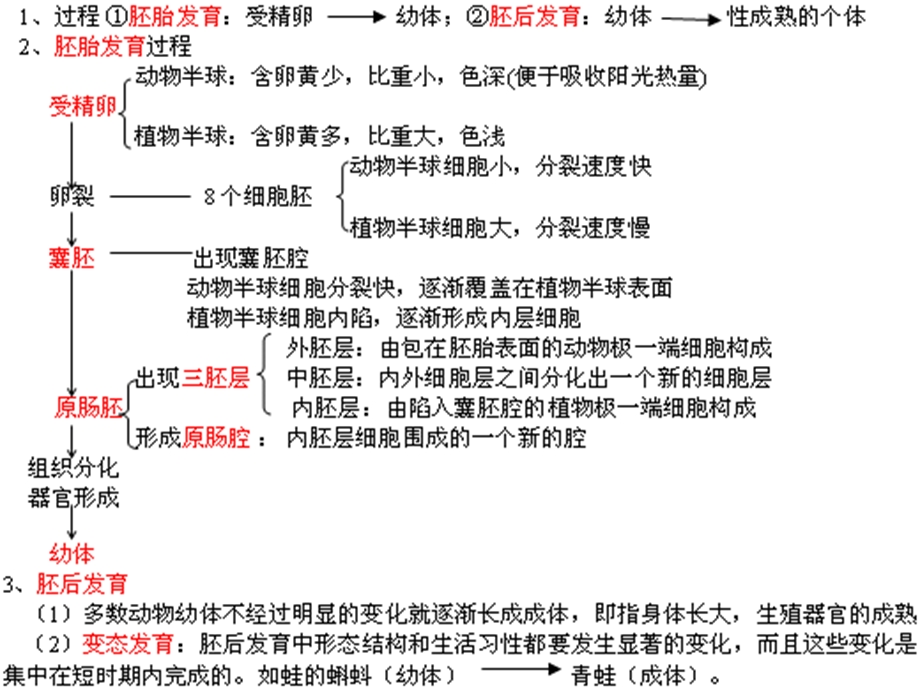 生物的个体发育期末复习.ppt_第2页