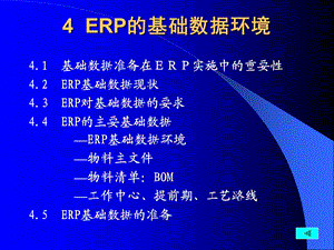 ERP第04章ERP的基础数据环境3.ppt