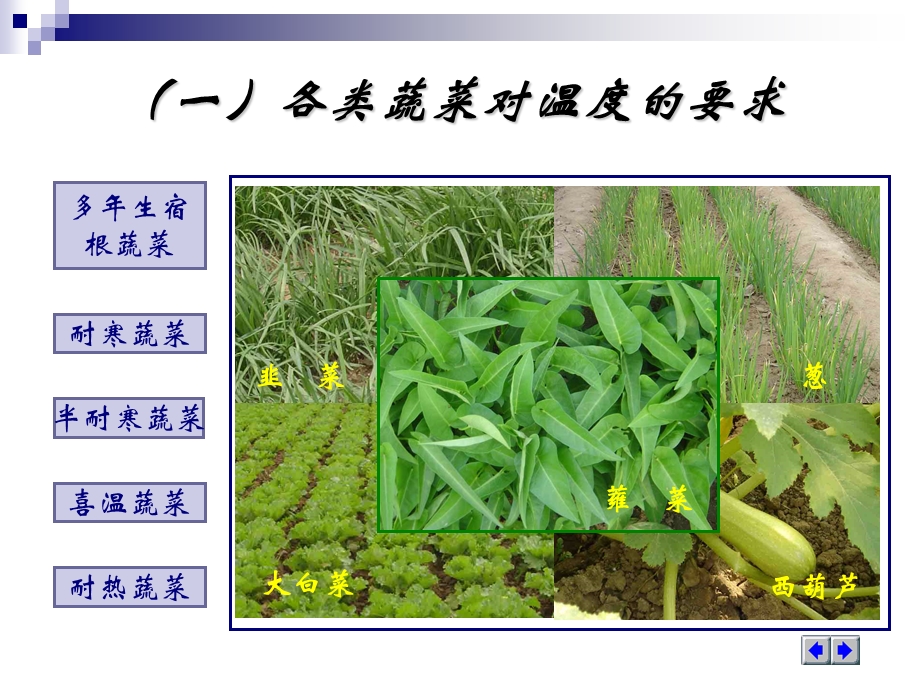 四节蔬菜的栽培环境.ppt_第3页