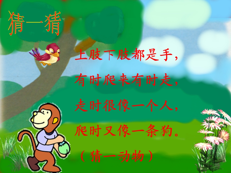 两只小狮子课件(ppt).ppt_第3页