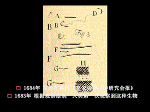 年发表在英国皇家协会科学研究会报年根据观.ppt