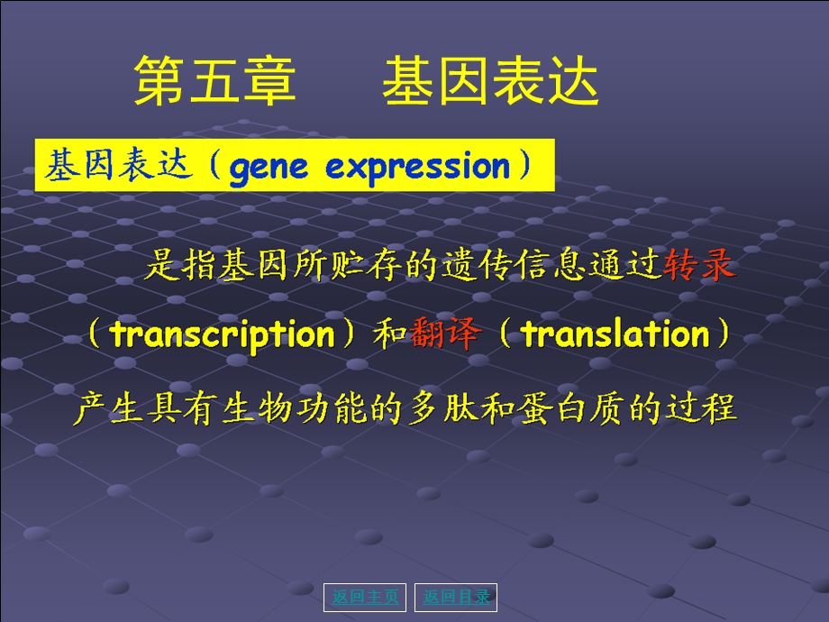 3分生基因表达及调控0909.ppt_第2页