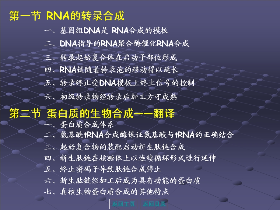 3分生基因表达及调控0909.ppt_第3页