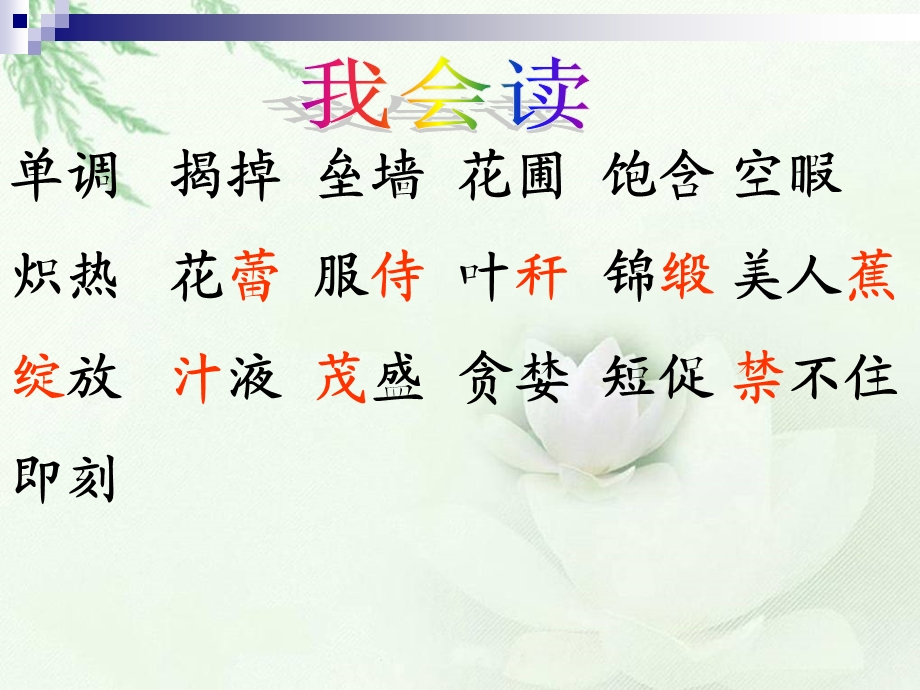 (北师大版)四年级语文课件-种一片太阳花.ppt_第3页