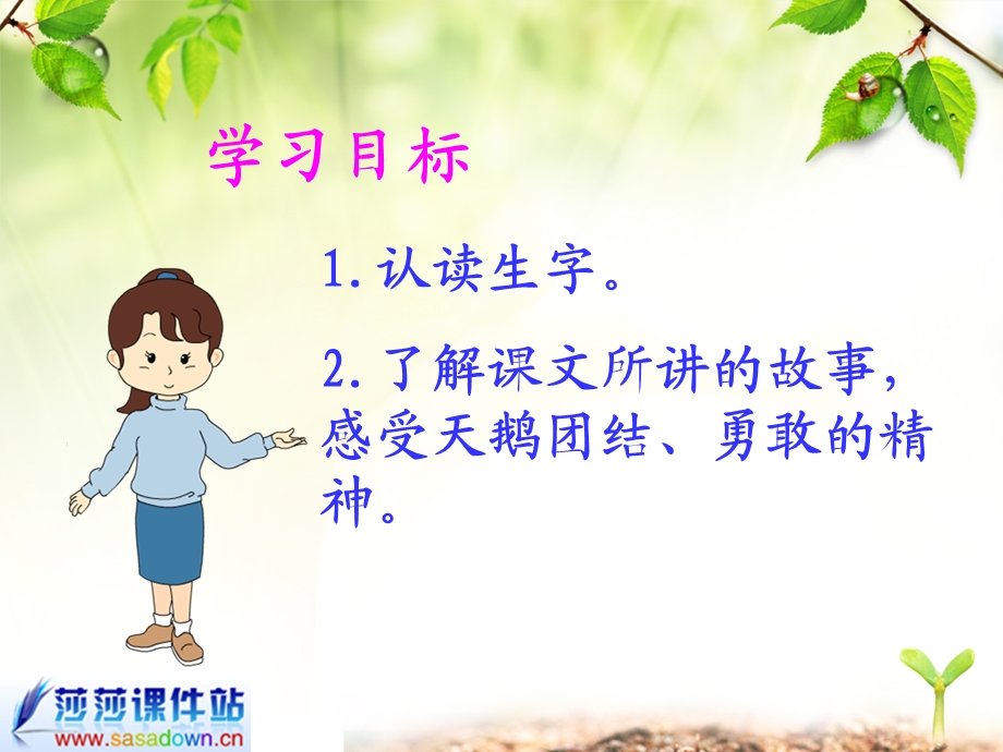 天鹅的故事.ppt.ppt_第2页