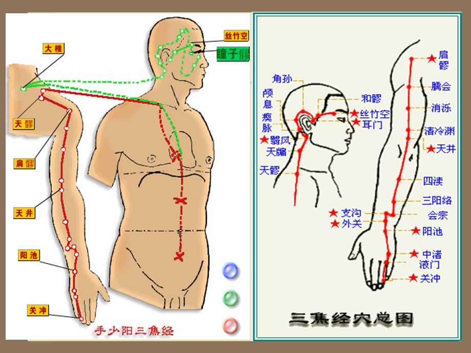 手少阳三焦经修正版.ppt_第3页